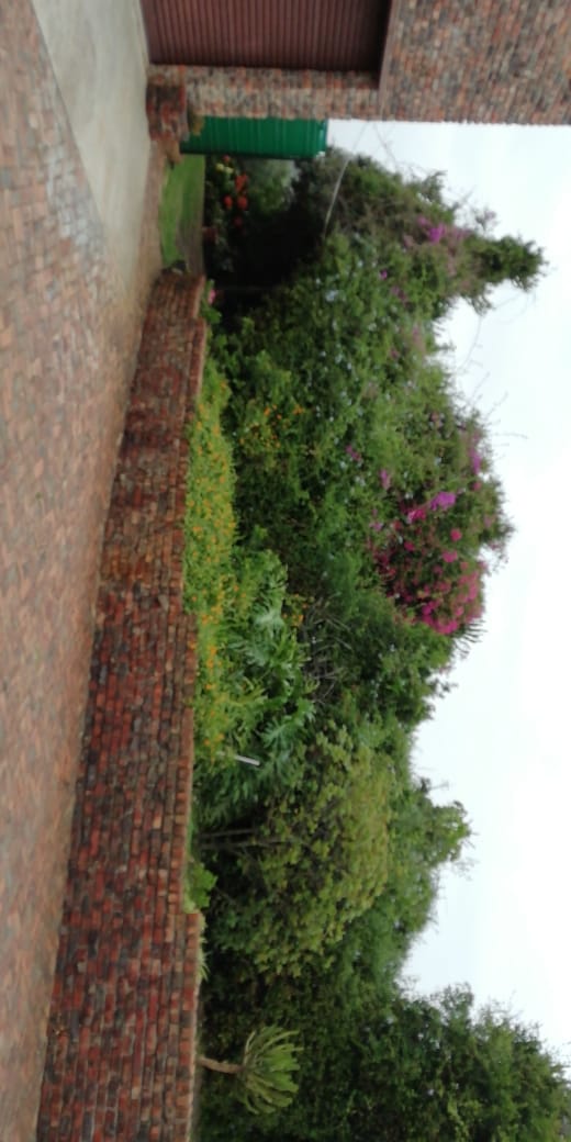 Commercial Property for Sale in Kabeljauws Eastern Cape